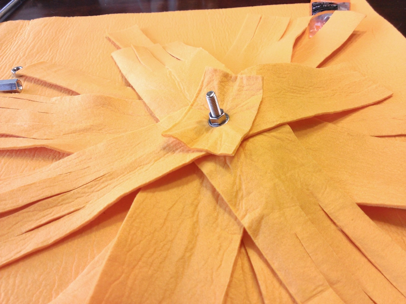 WP_20140316_022.jpg