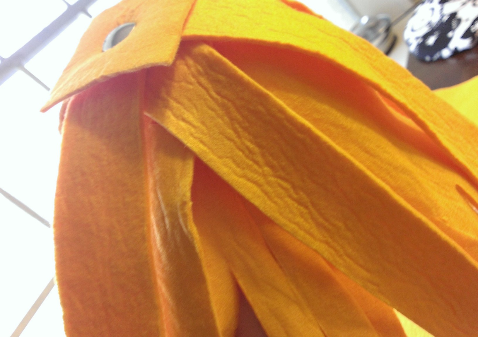 WP_20140316_025.jpg