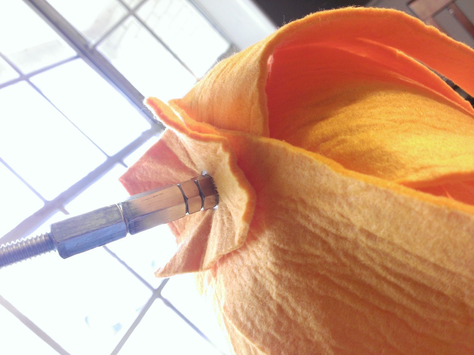 WP_20140316_035.jpg