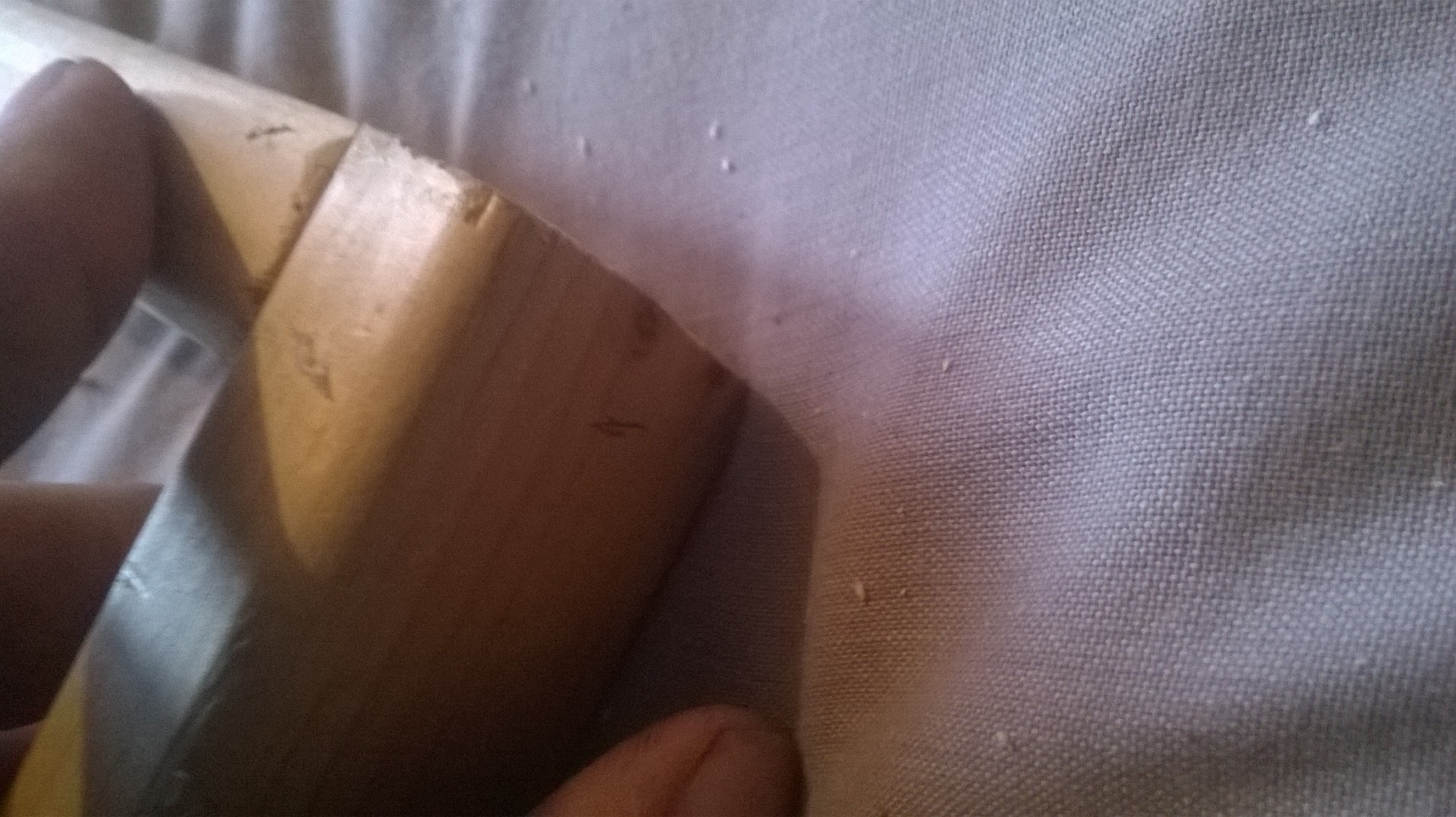 WP_20141125_010.jpg