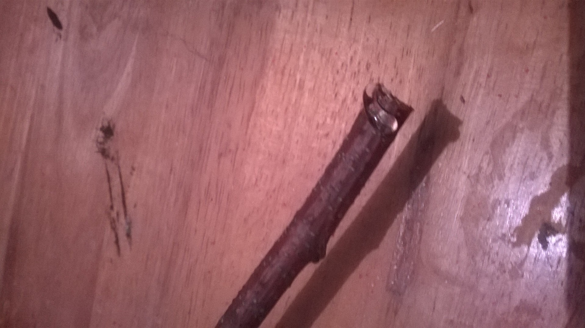 WP_20141125_033.jpg