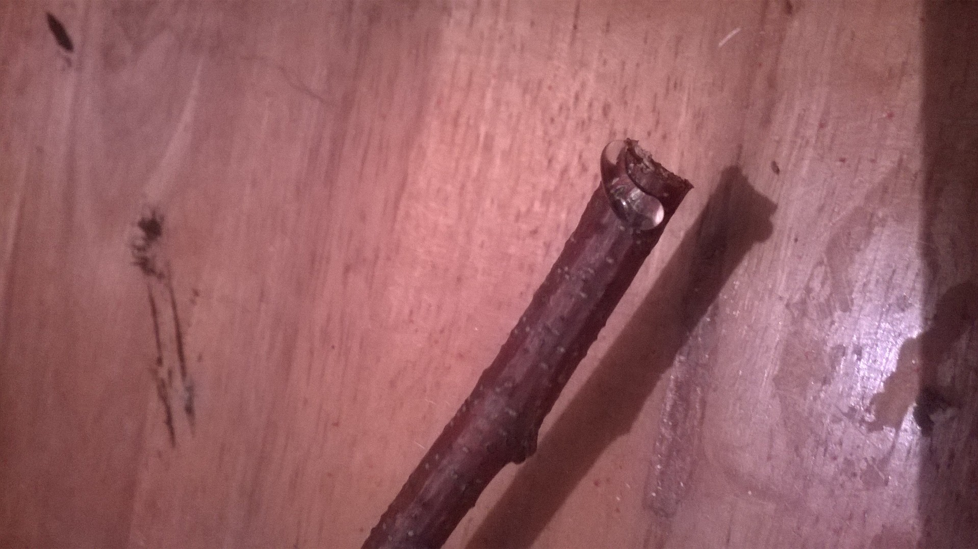 WP_20141125_034.jpg