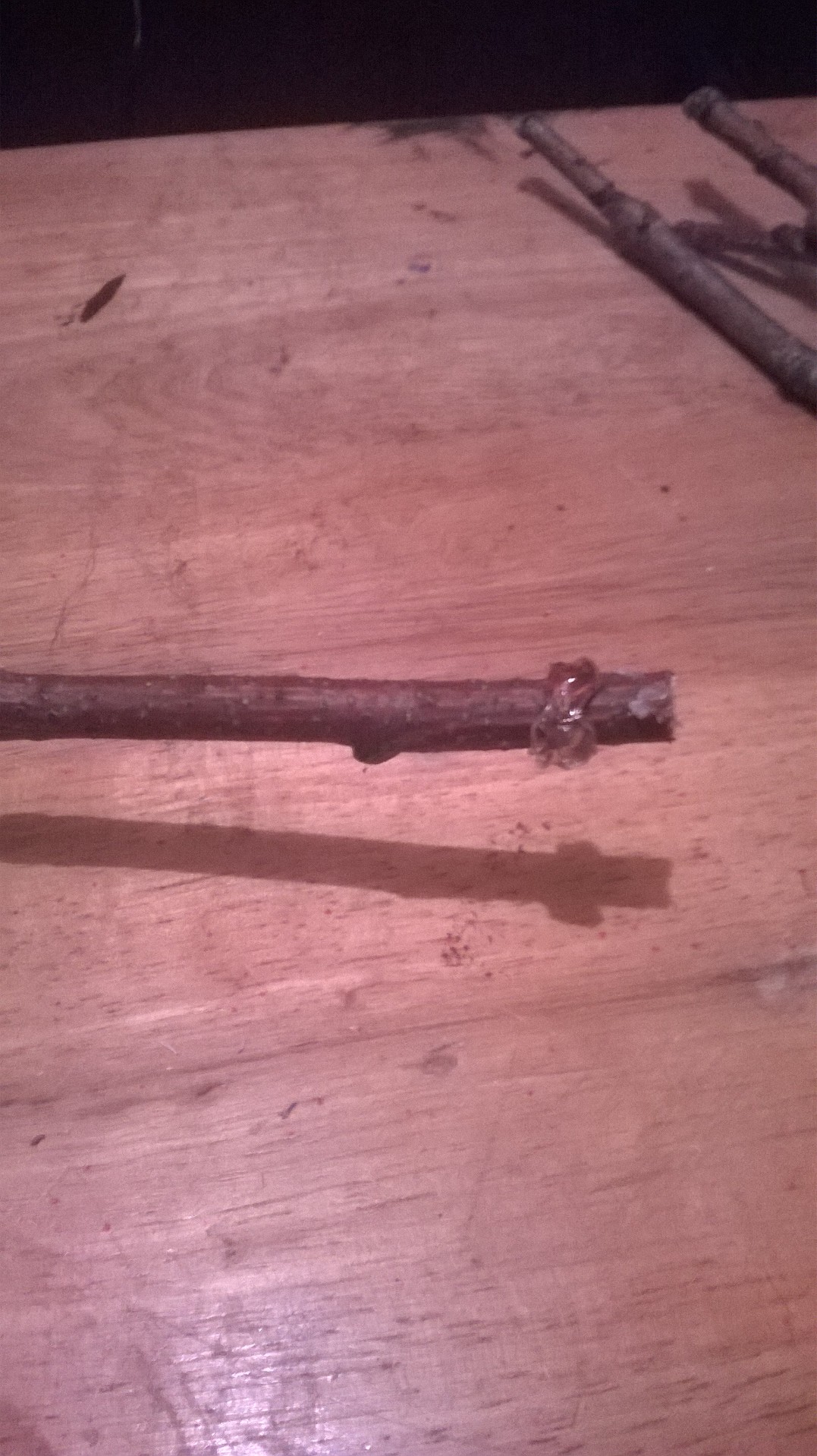 WP_20141125_035.jpg