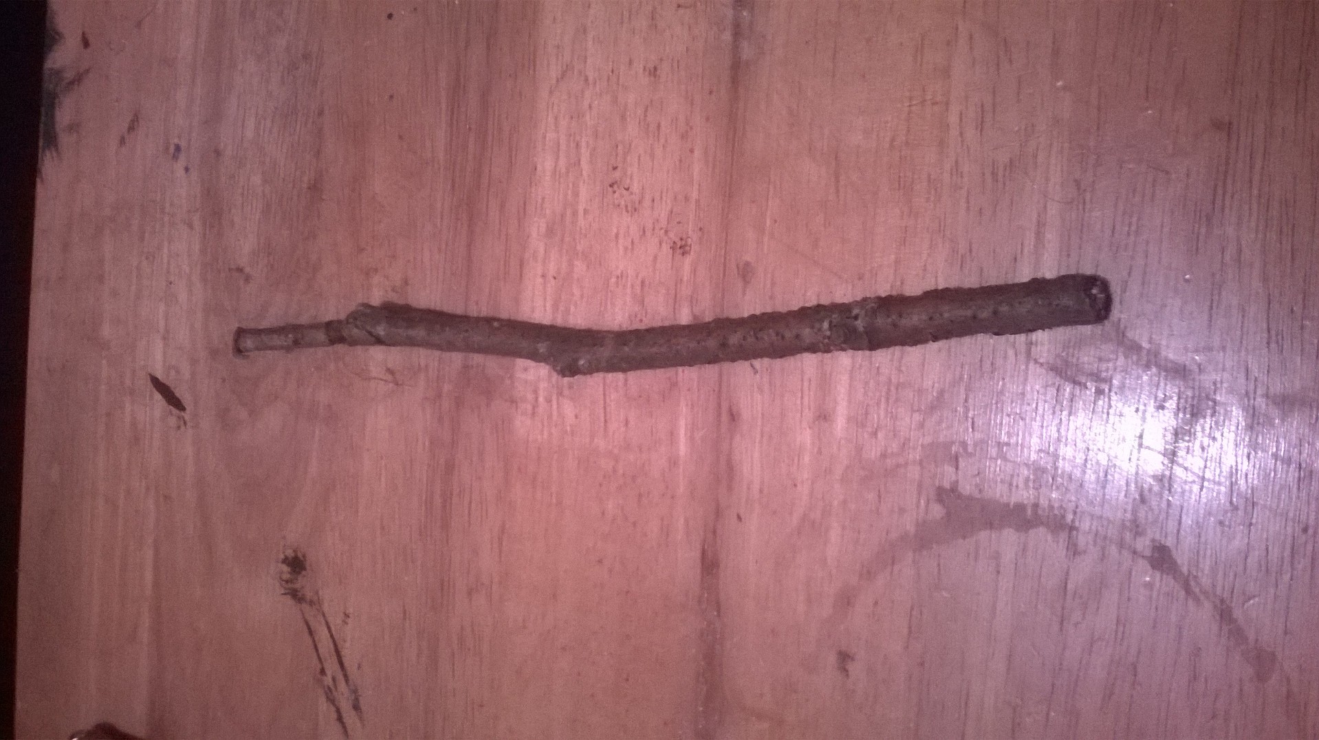 WP_20141125_039.jpg