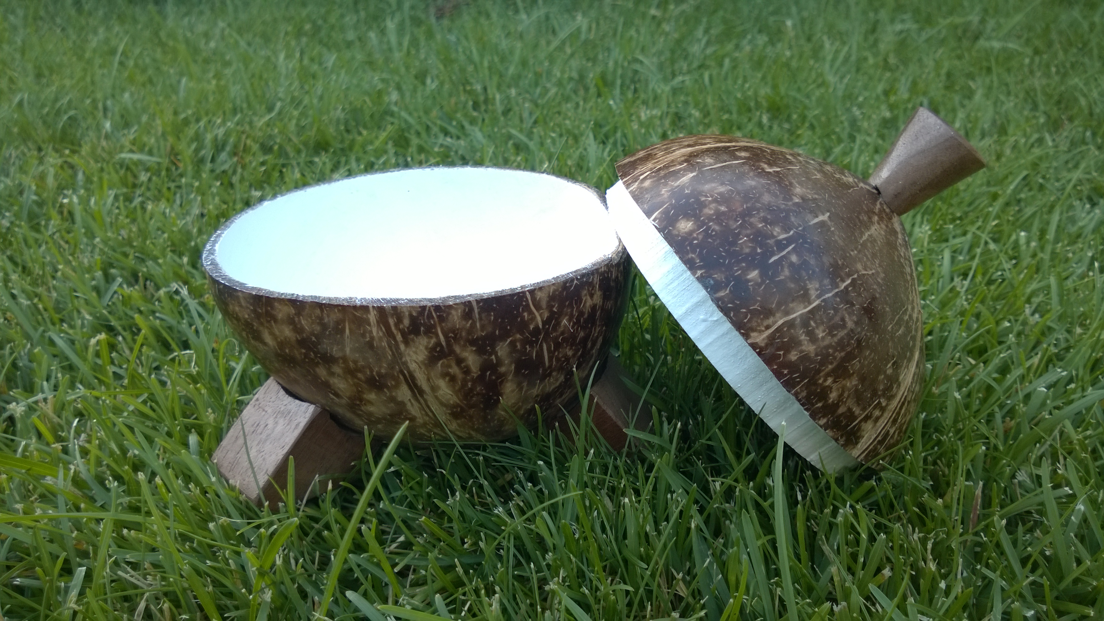 WP_20160801_035.jpg
