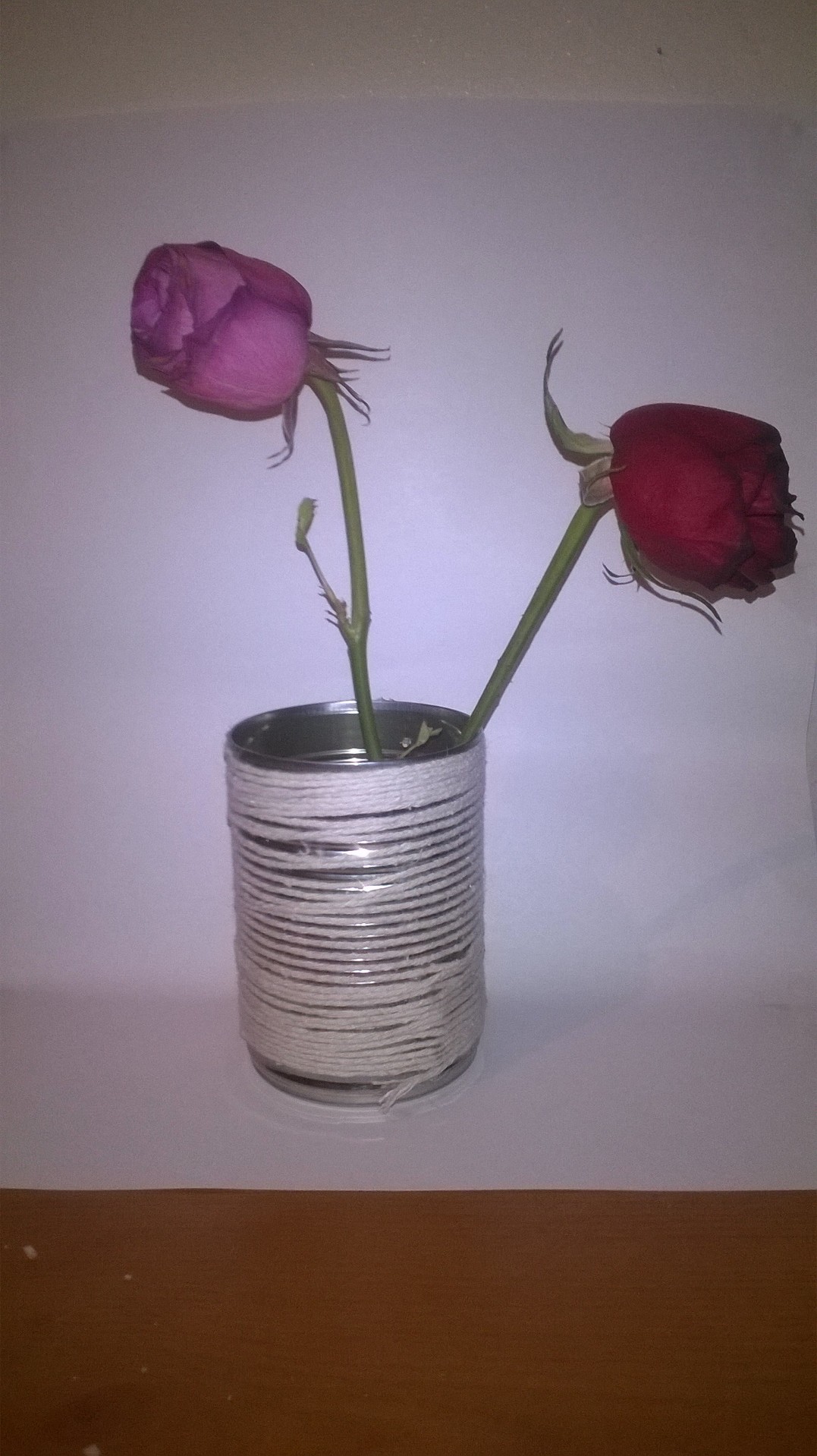 WP_20160811_101.jpg