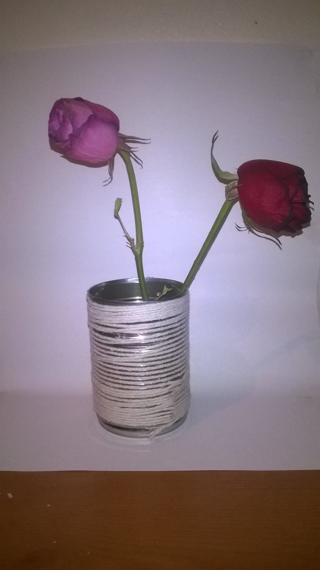 WP_20160811_102.jpg