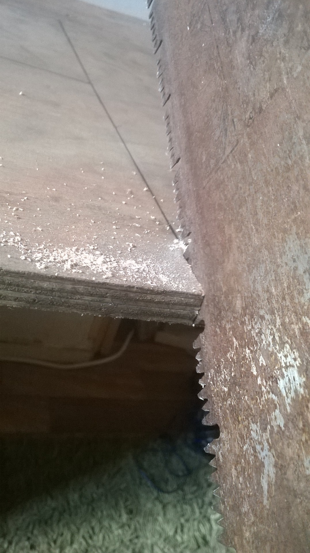 WP_20160812_021.jpg
