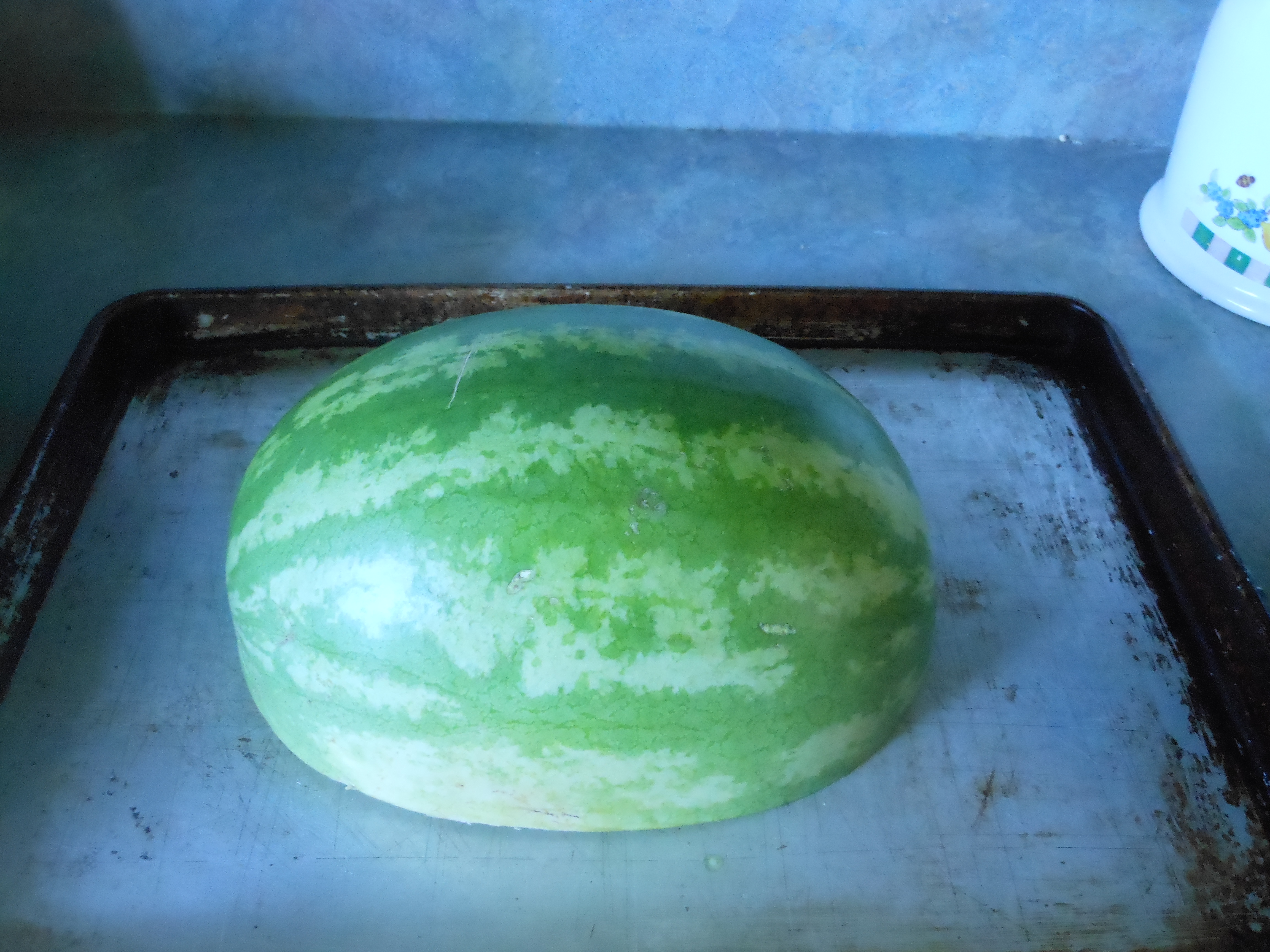 Watermelon 2.JPG