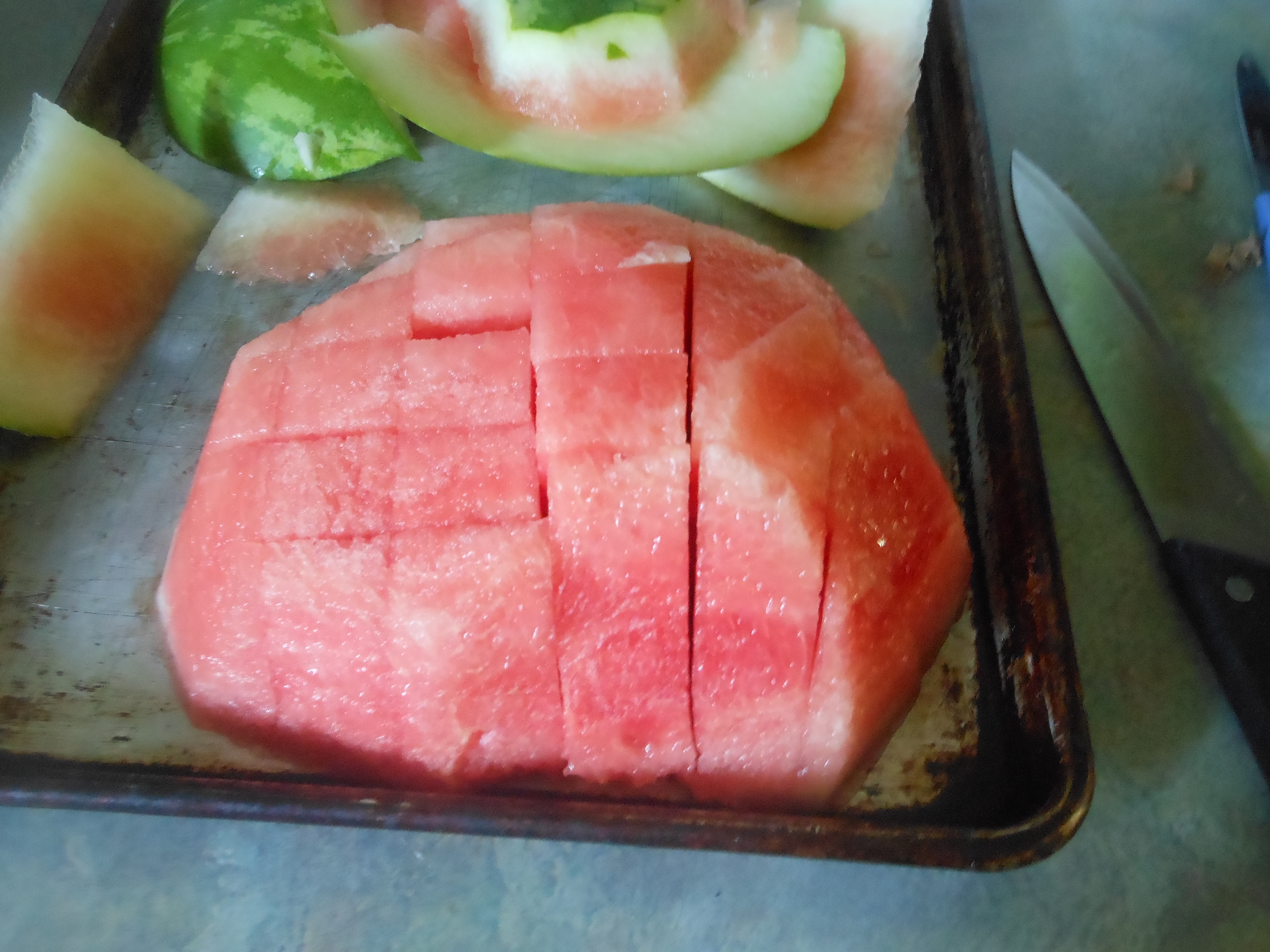 Watermelon 8.JPG