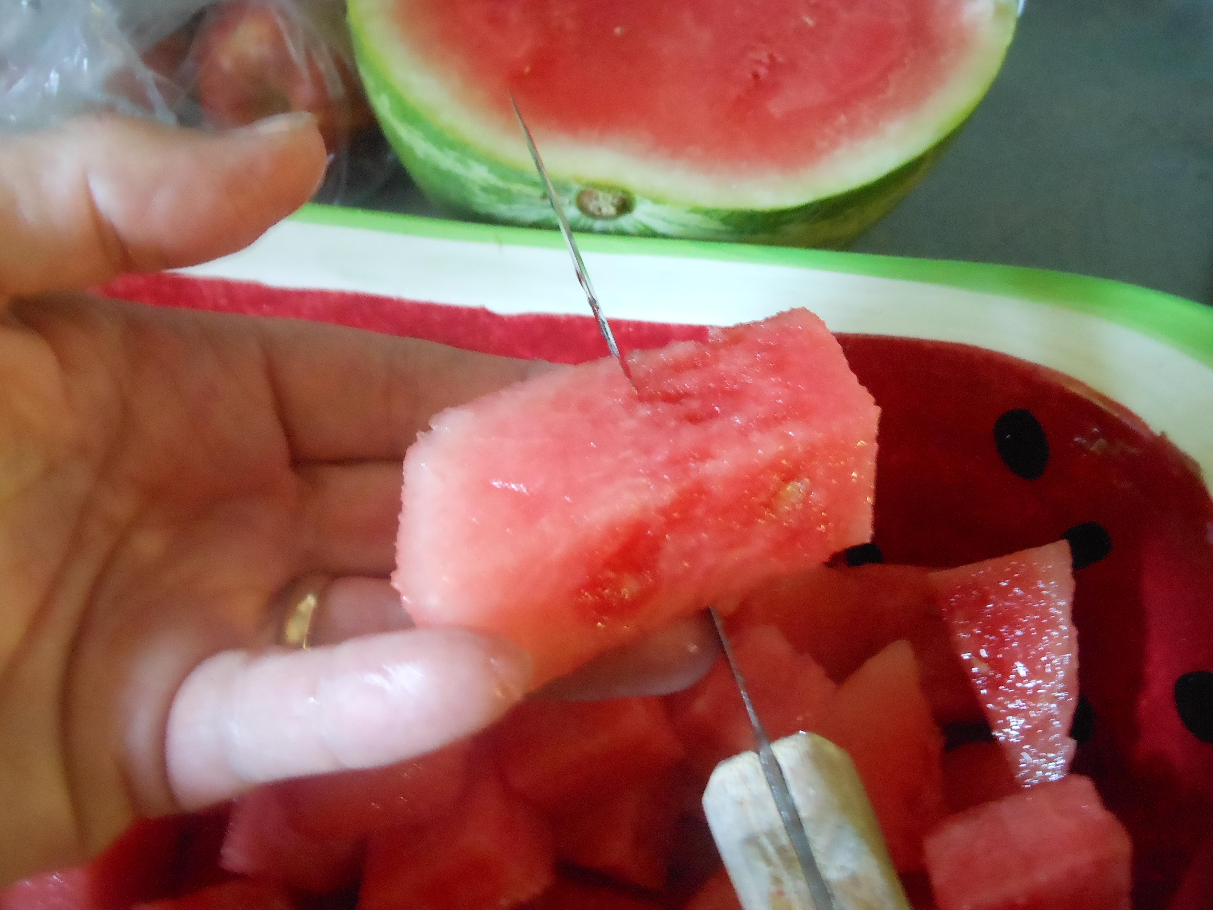 Watermelon 9.JPG