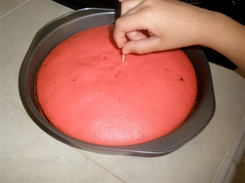 Watermelon Cake_0035.jpg