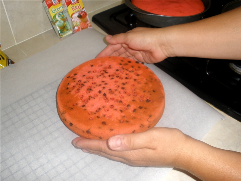 Watermelon Cake_0040.jpg