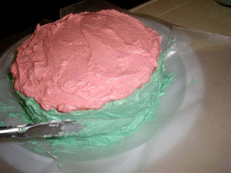 Watermelon Cake_0065.jpg