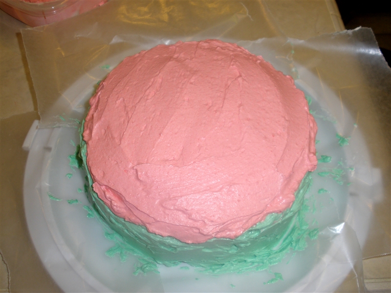 Watermelon Cake_0069.jpg