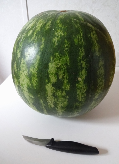 Watermelon Carving 014 (467x640).jpg