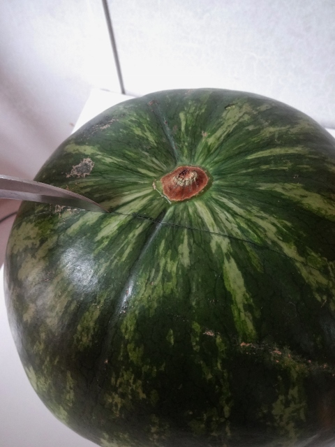 Watermelon Carving 015 (480x640).jpg