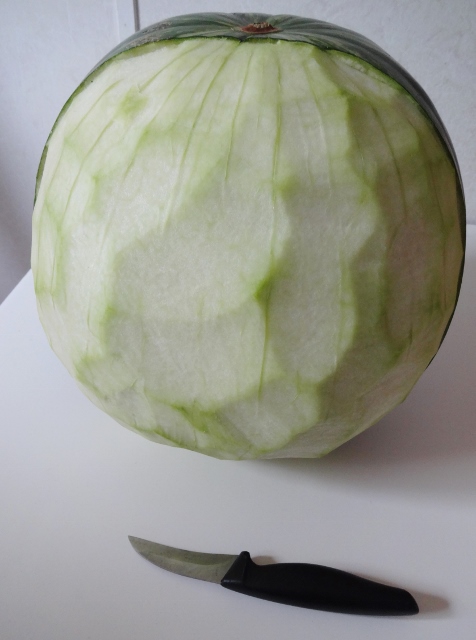 Watermelon Carving 021 (476x640).jpg