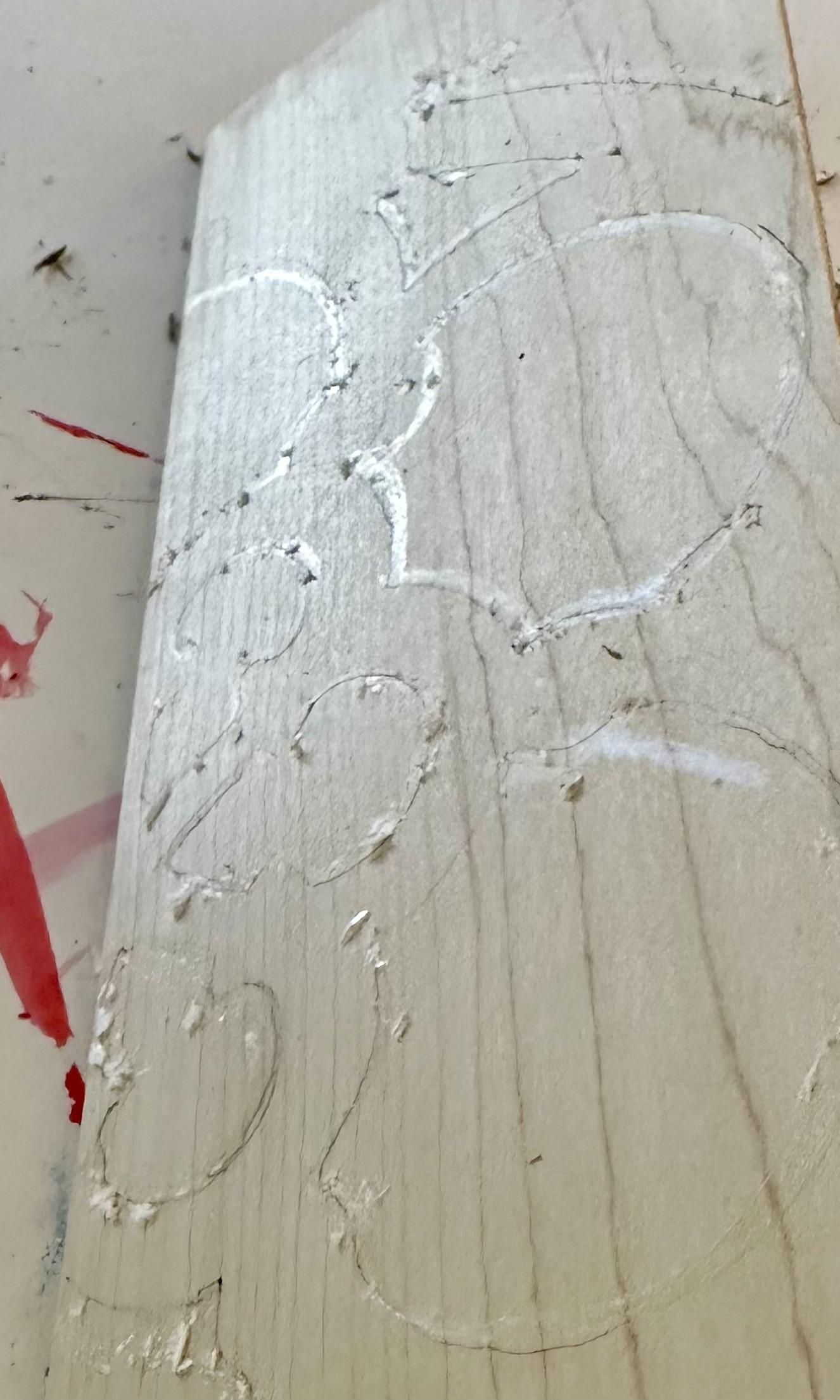 Wax in light.jpeg