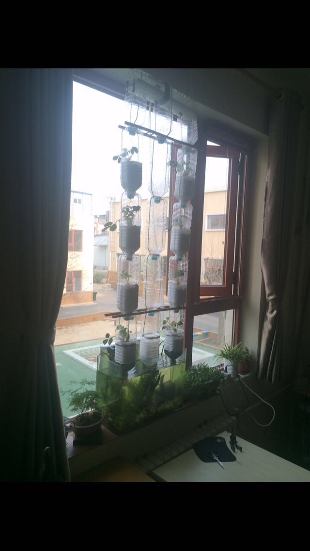 WeChat_1484718734.jpeg