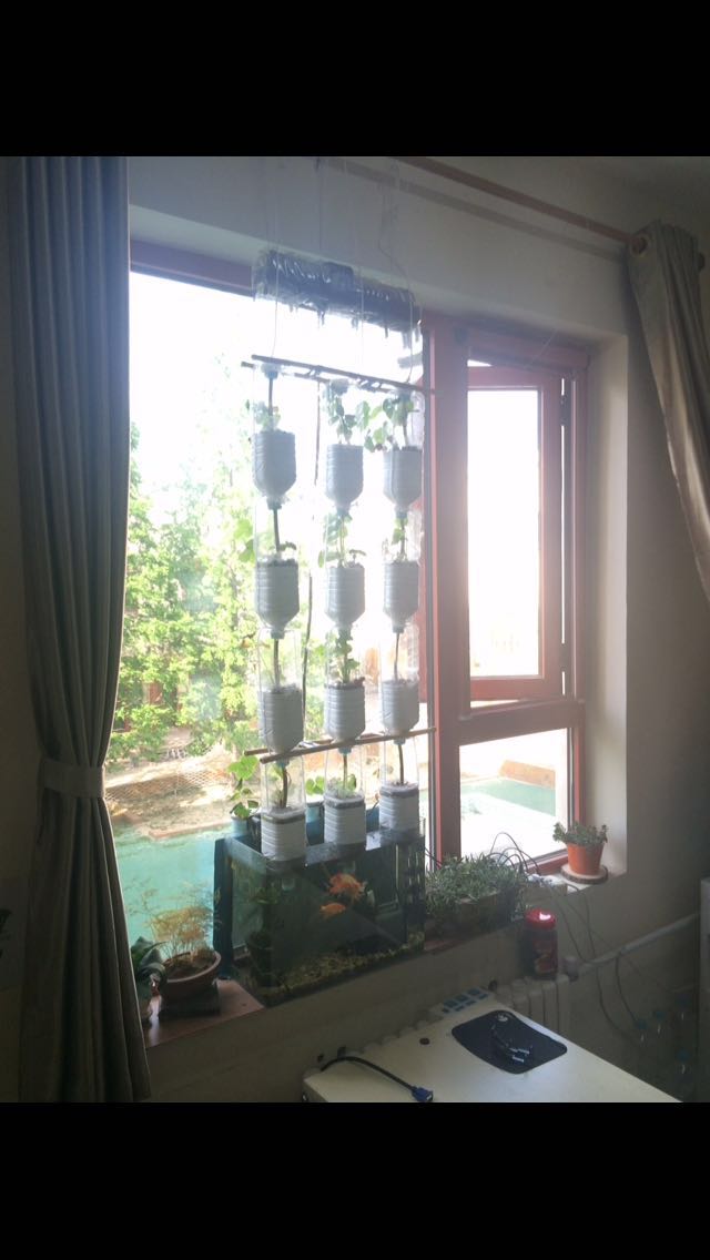 WeChat_1484719269.jpeg