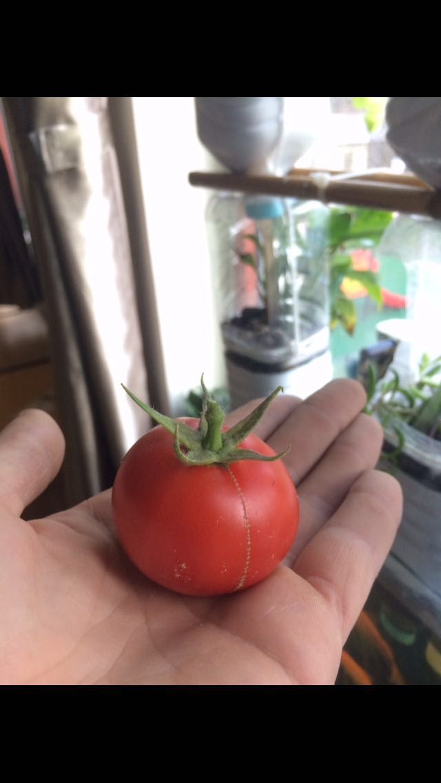 WeChat_1484719757.jpeg