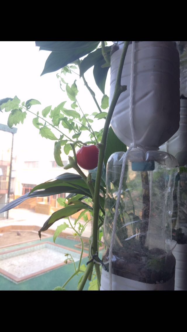 WeChat_1484719762.jpeg
