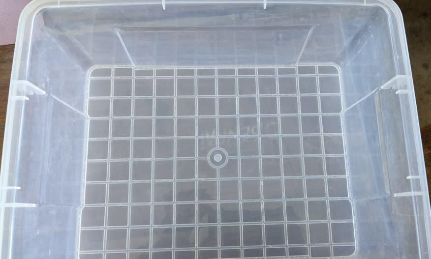 WhatsApp_Image_2026-07-17_at_04.08.06.jpeg