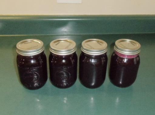 Wild Blue Berry Jam 13.JPG