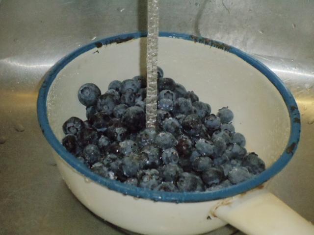 Wild Blue Berry Jam 3.JPG