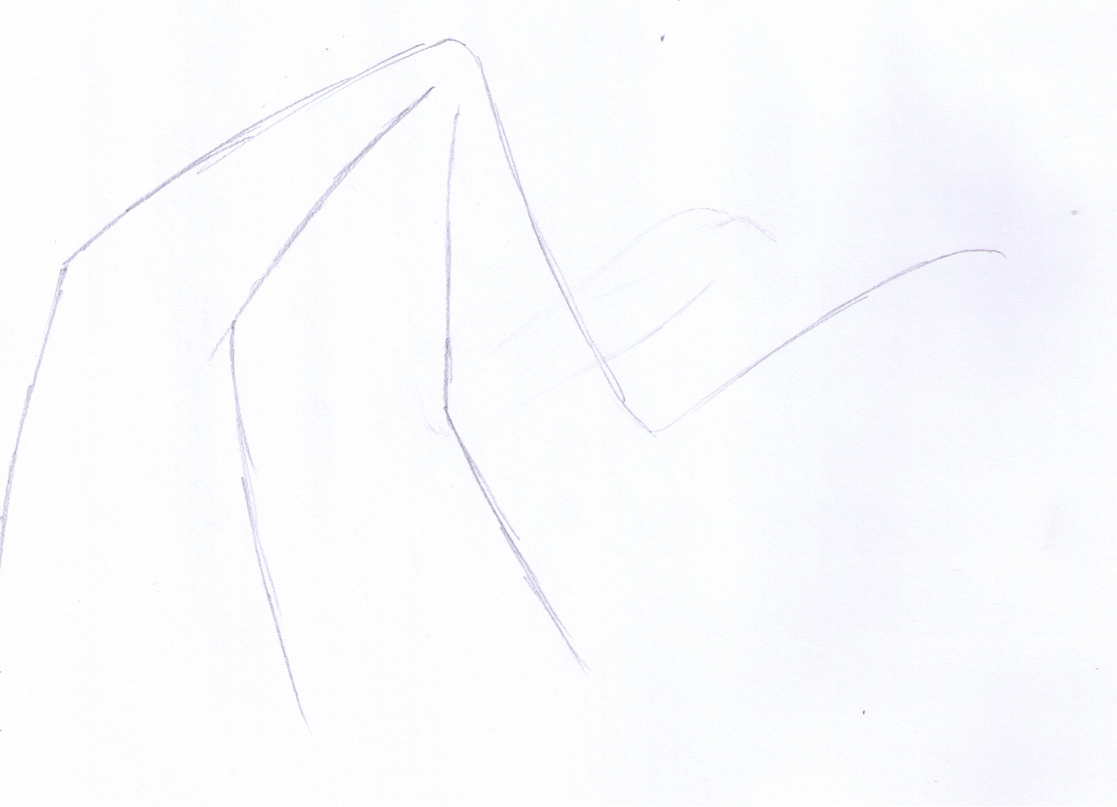 Wing 1.jpeg