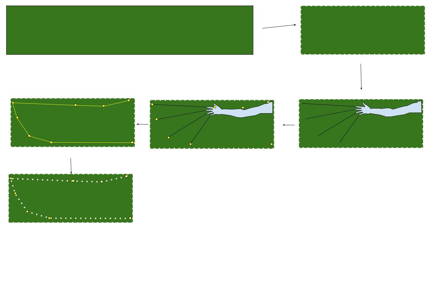 Wing diagram (1).jpg