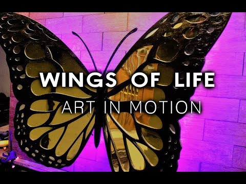 Wings of Life - Art Installation I Stop Motion