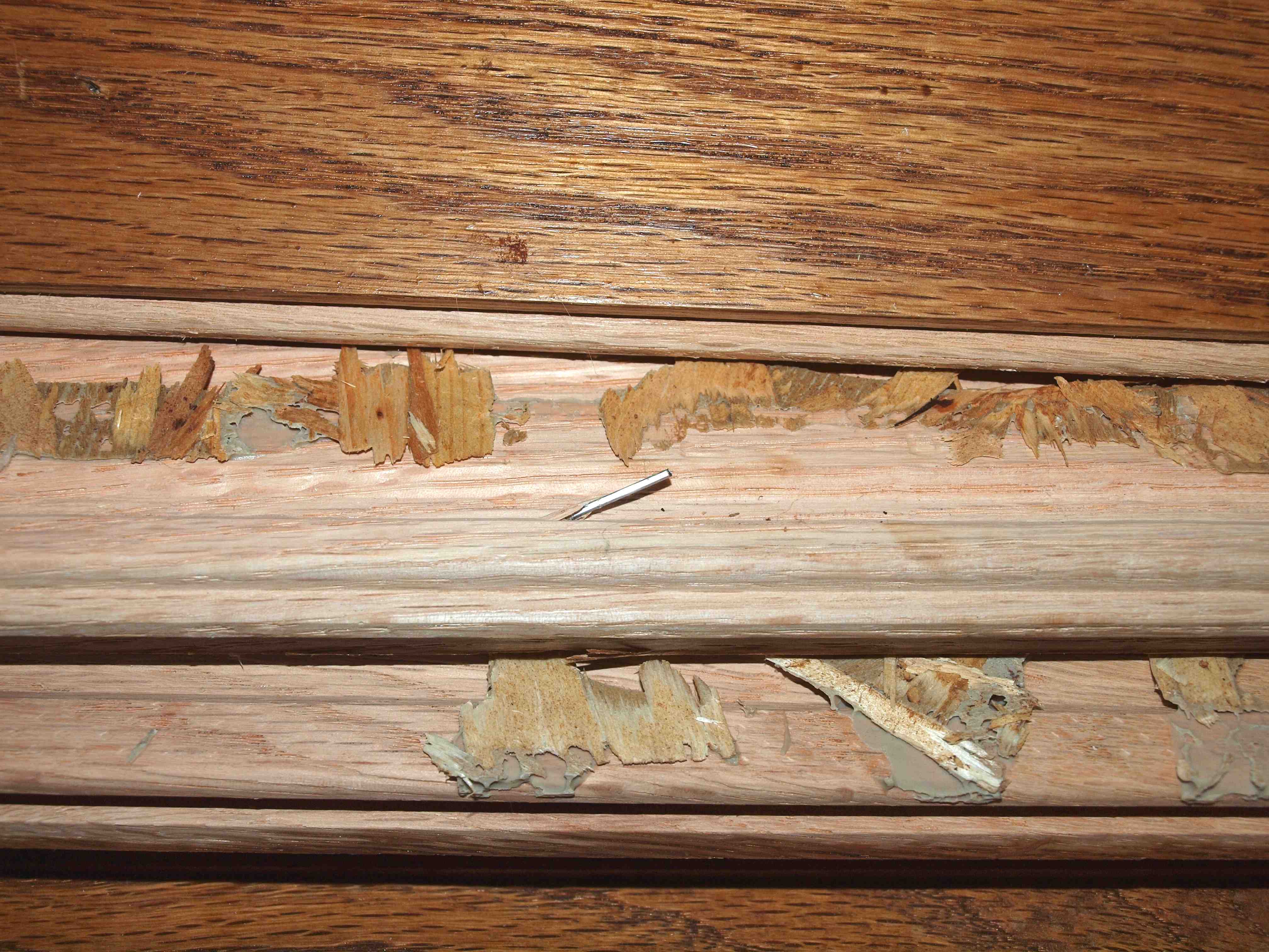 Wood2.jpg
