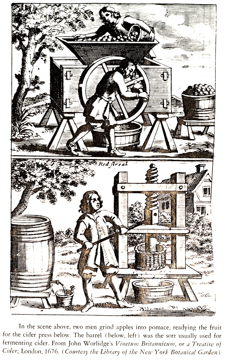 WoodCut -1676.jpg