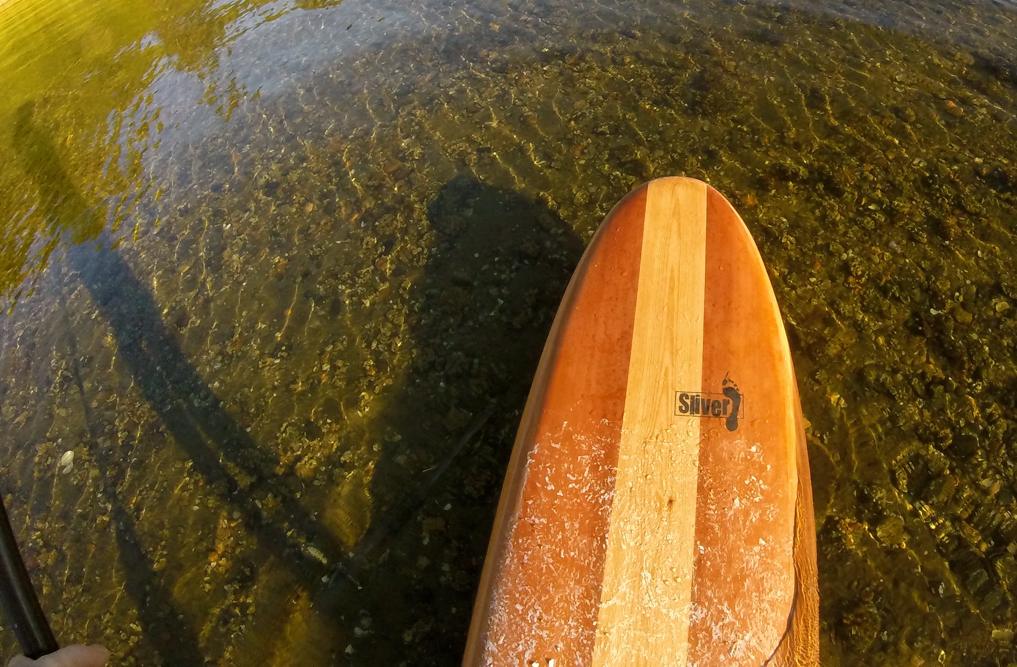 Wooden SUP.JPG