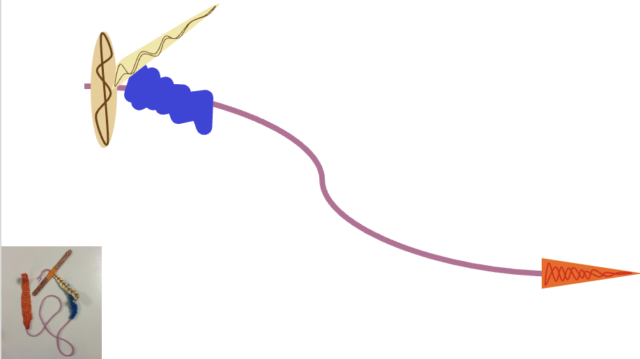 Worm 1.png