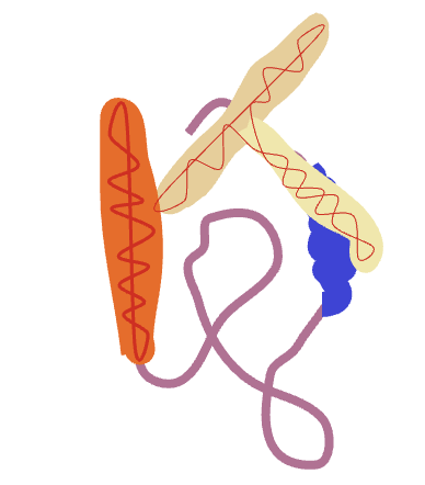 Worm 2.png