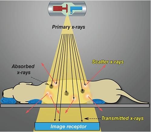 X-ray principle.jpg