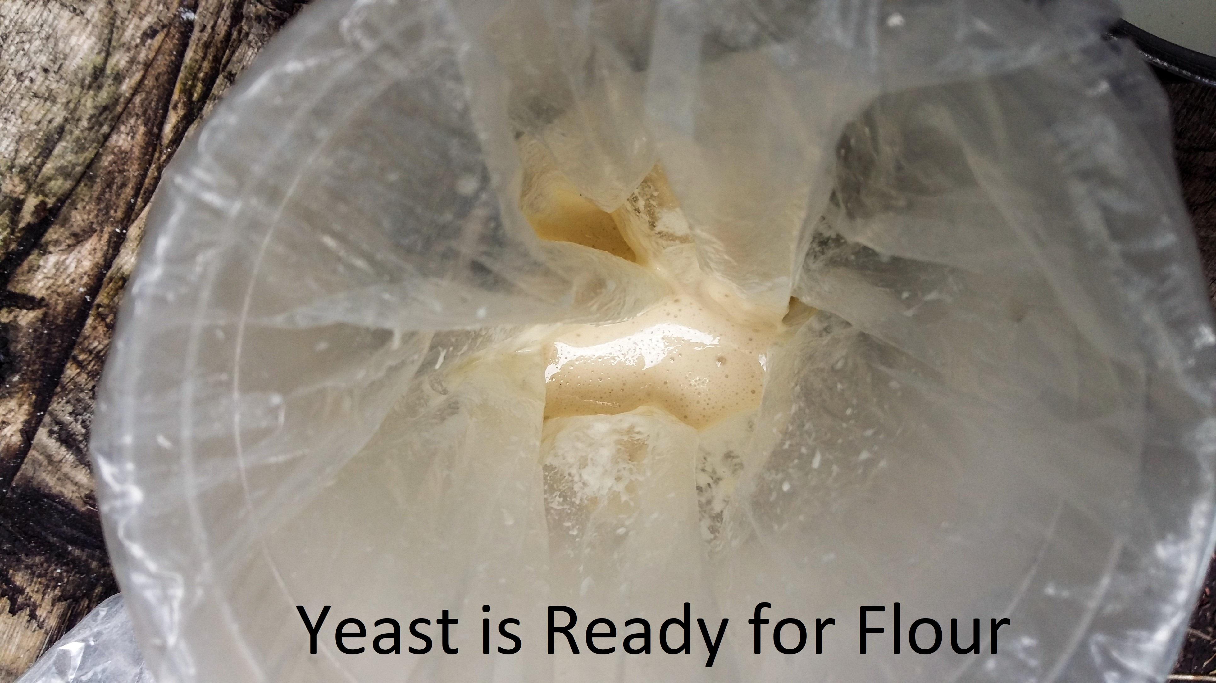 Yeast is ready.jpg