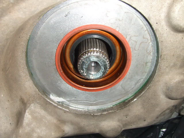 YetMoreReassy005.jpg