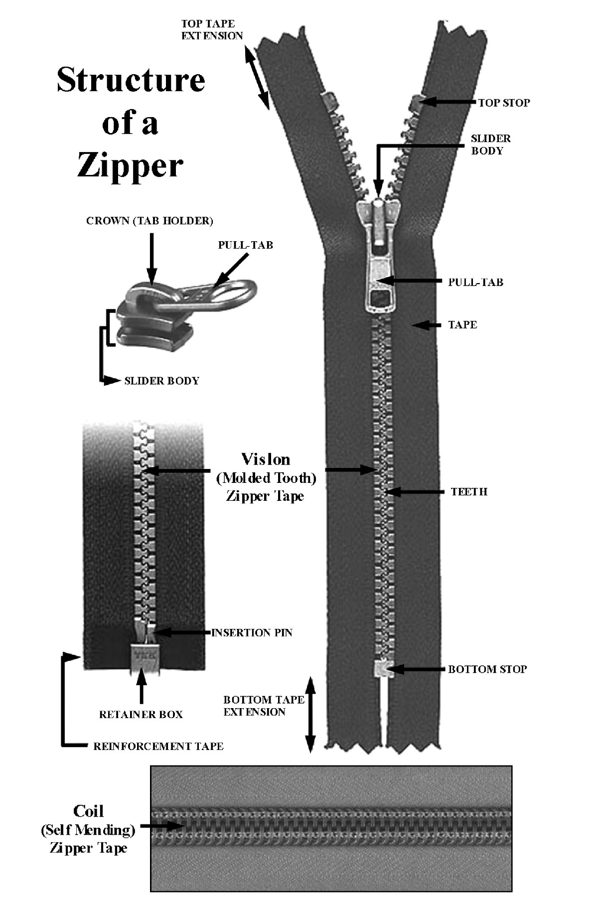 Zipper Anatomy.jpg