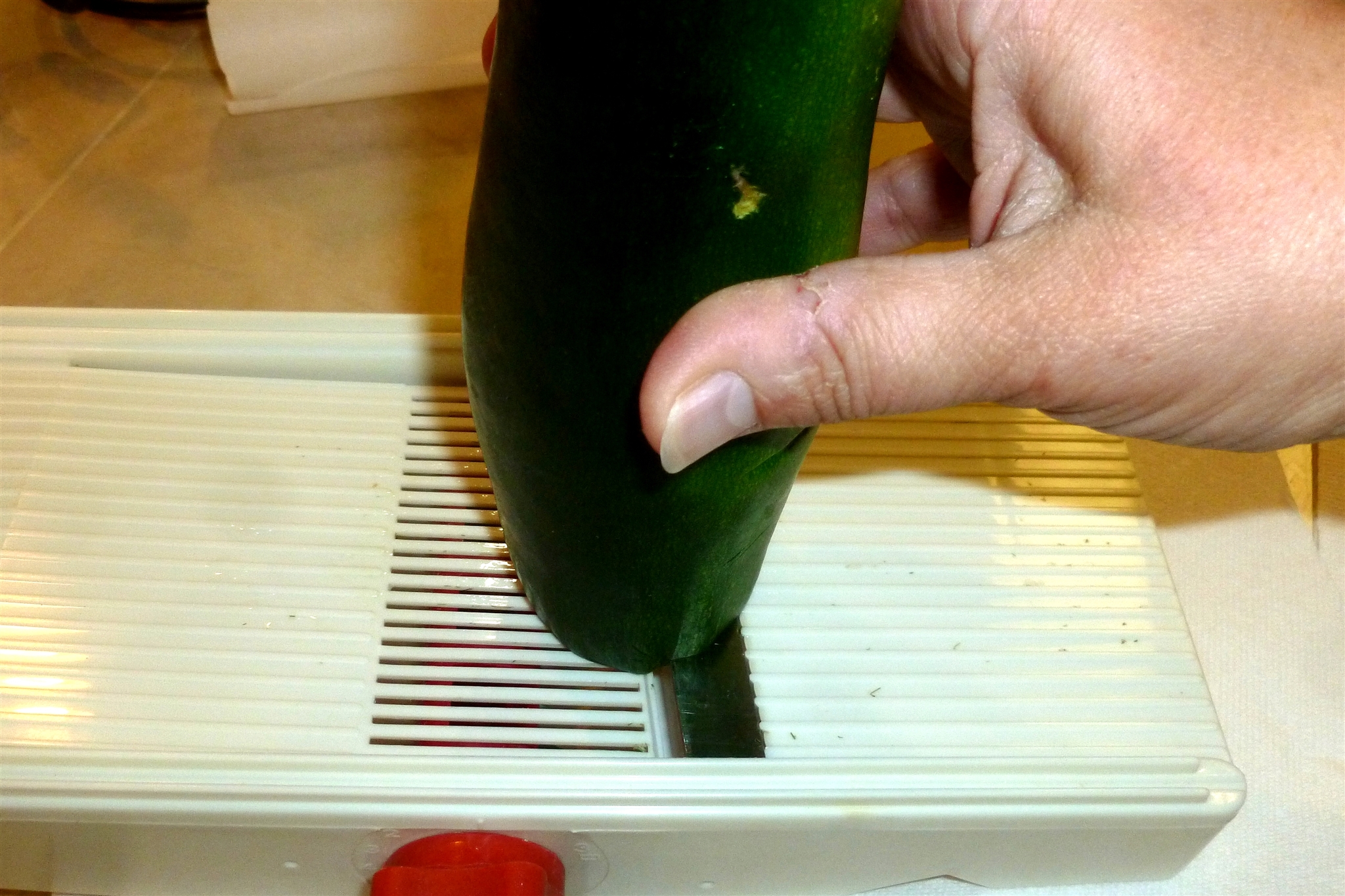 Zucchini_0002.jpg