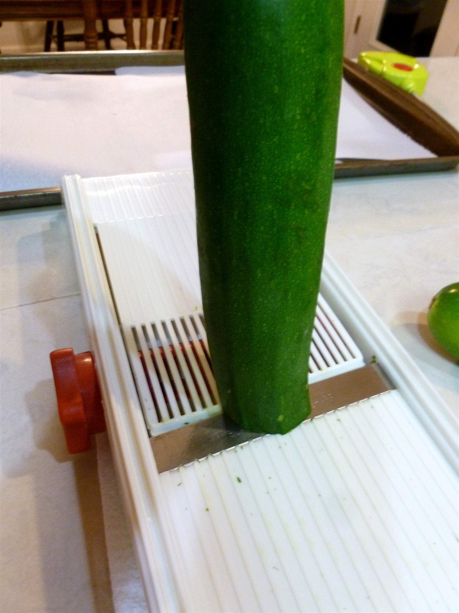 Zucchini_0004.jpg