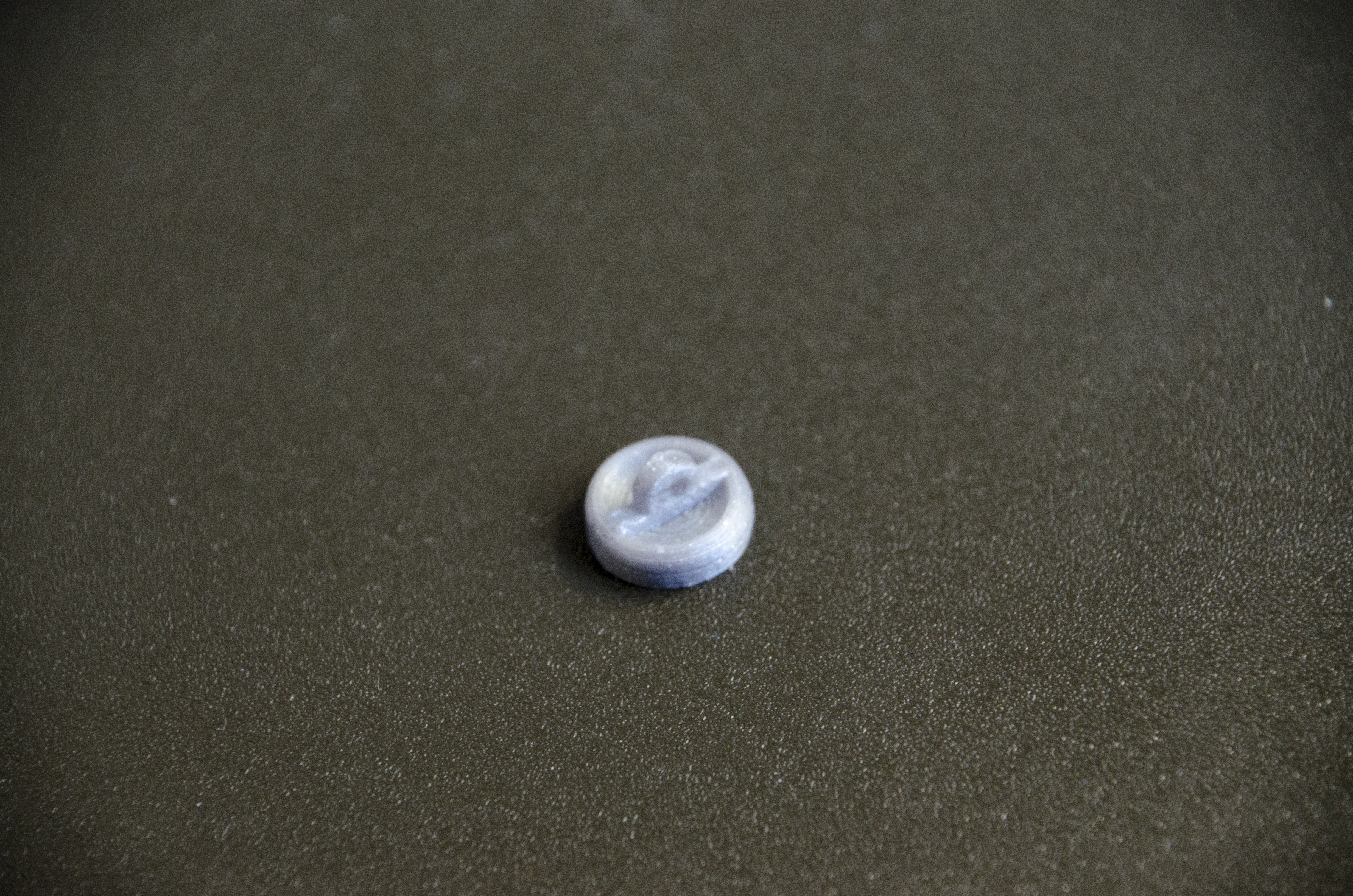 _DSC0031.jpg