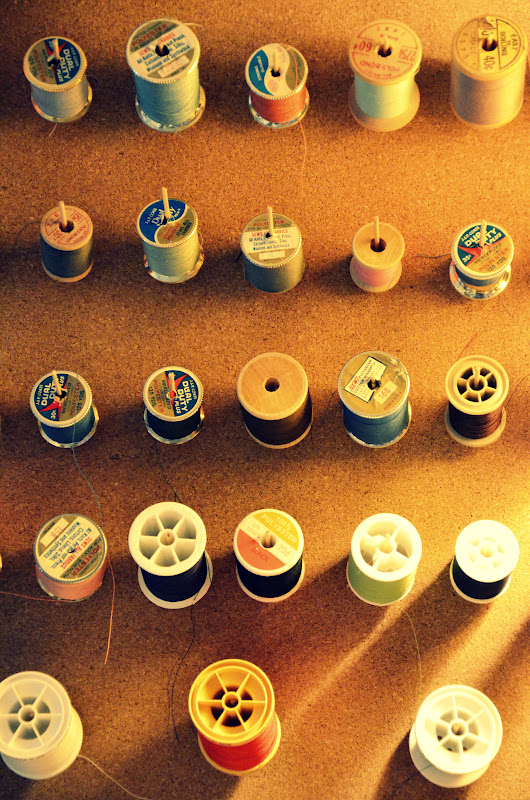 _DSC0032.jpeg