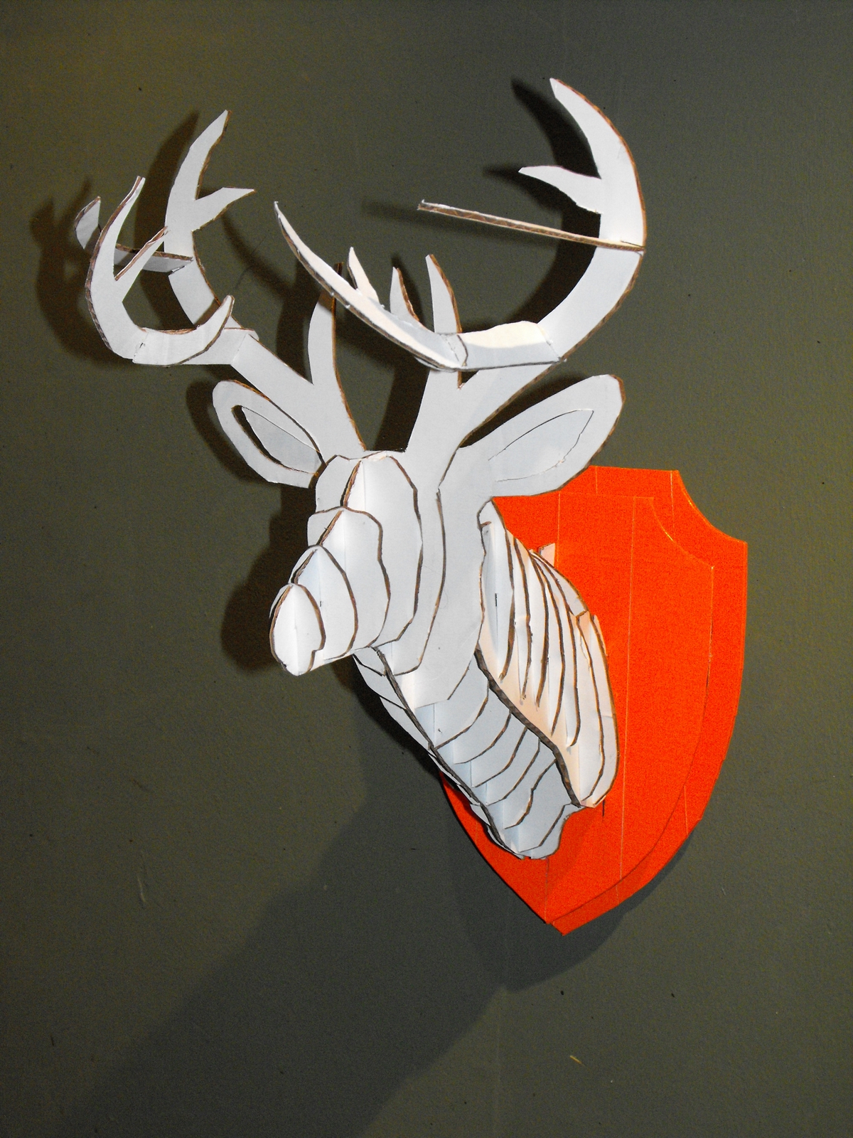 a deer head (2).JPG