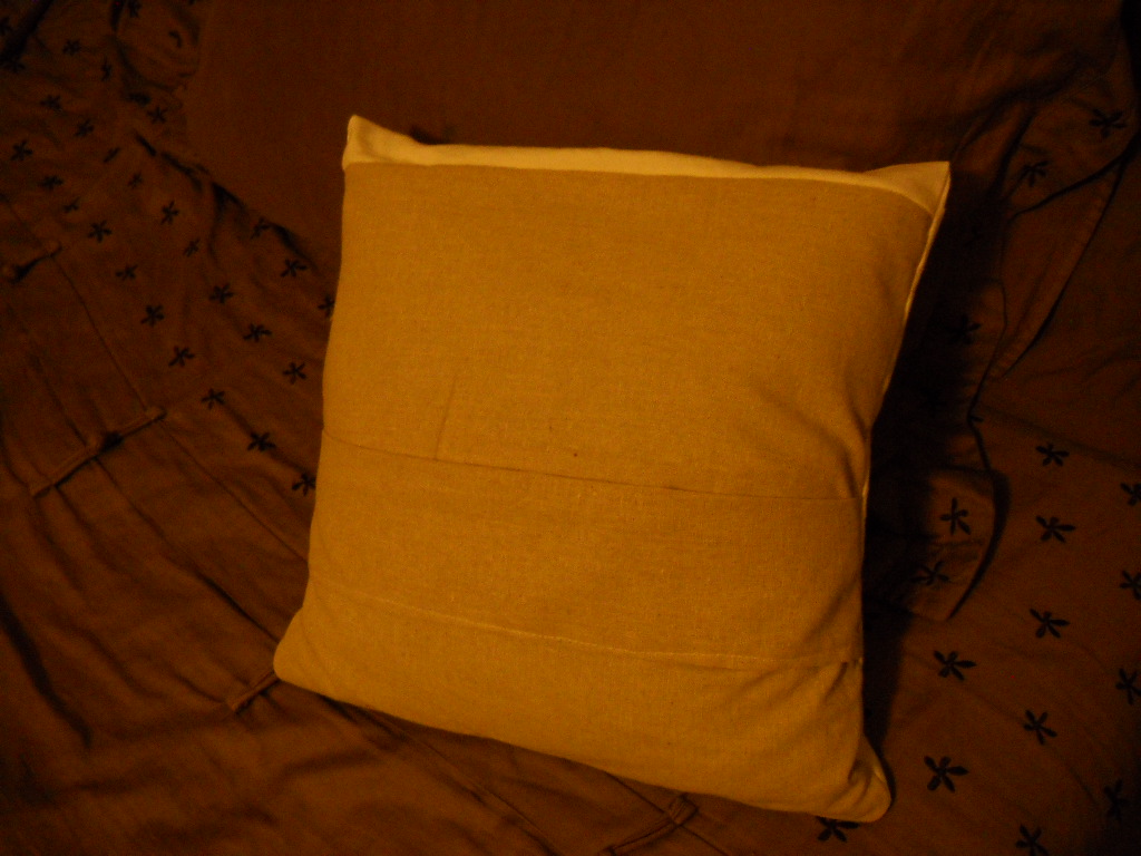 a pillow 044.JPG