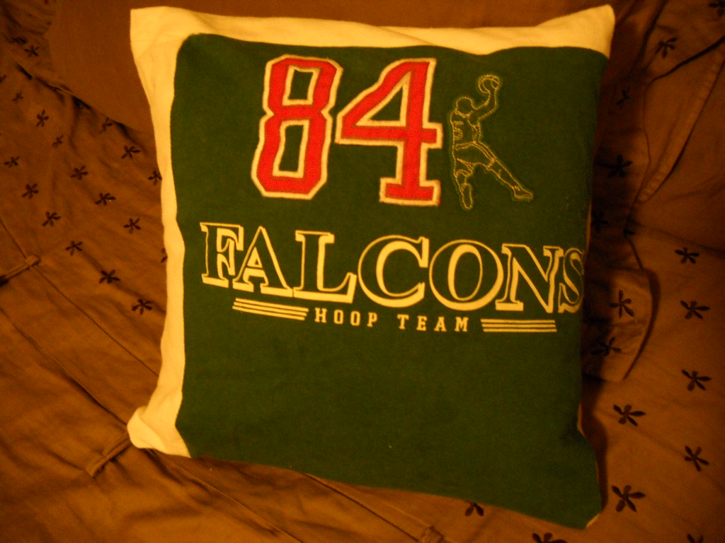 a pillow 046.JPG