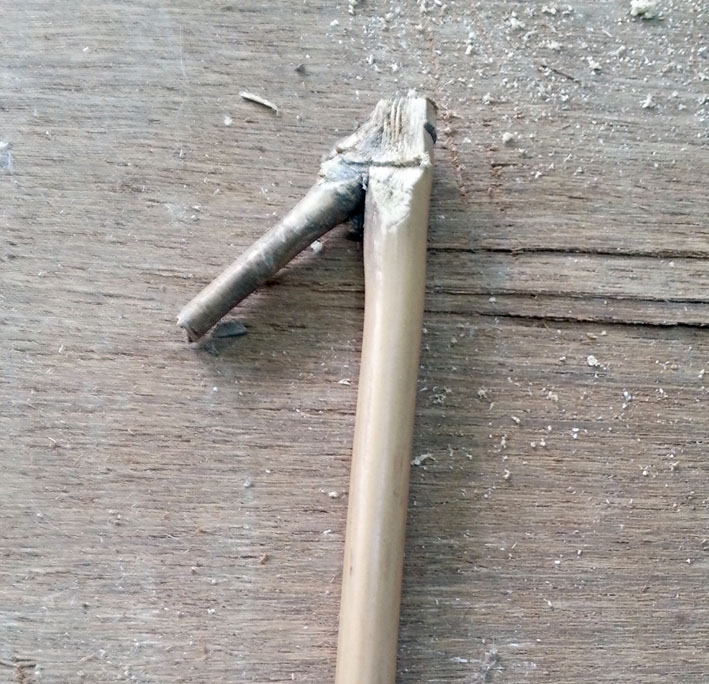 a006.jpg